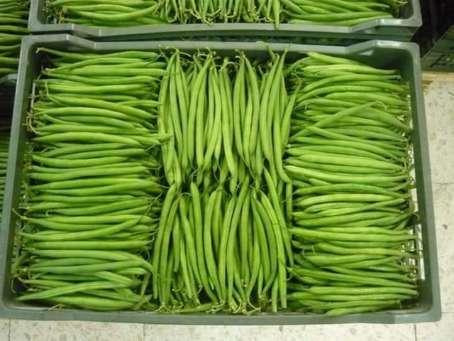 Green Beans